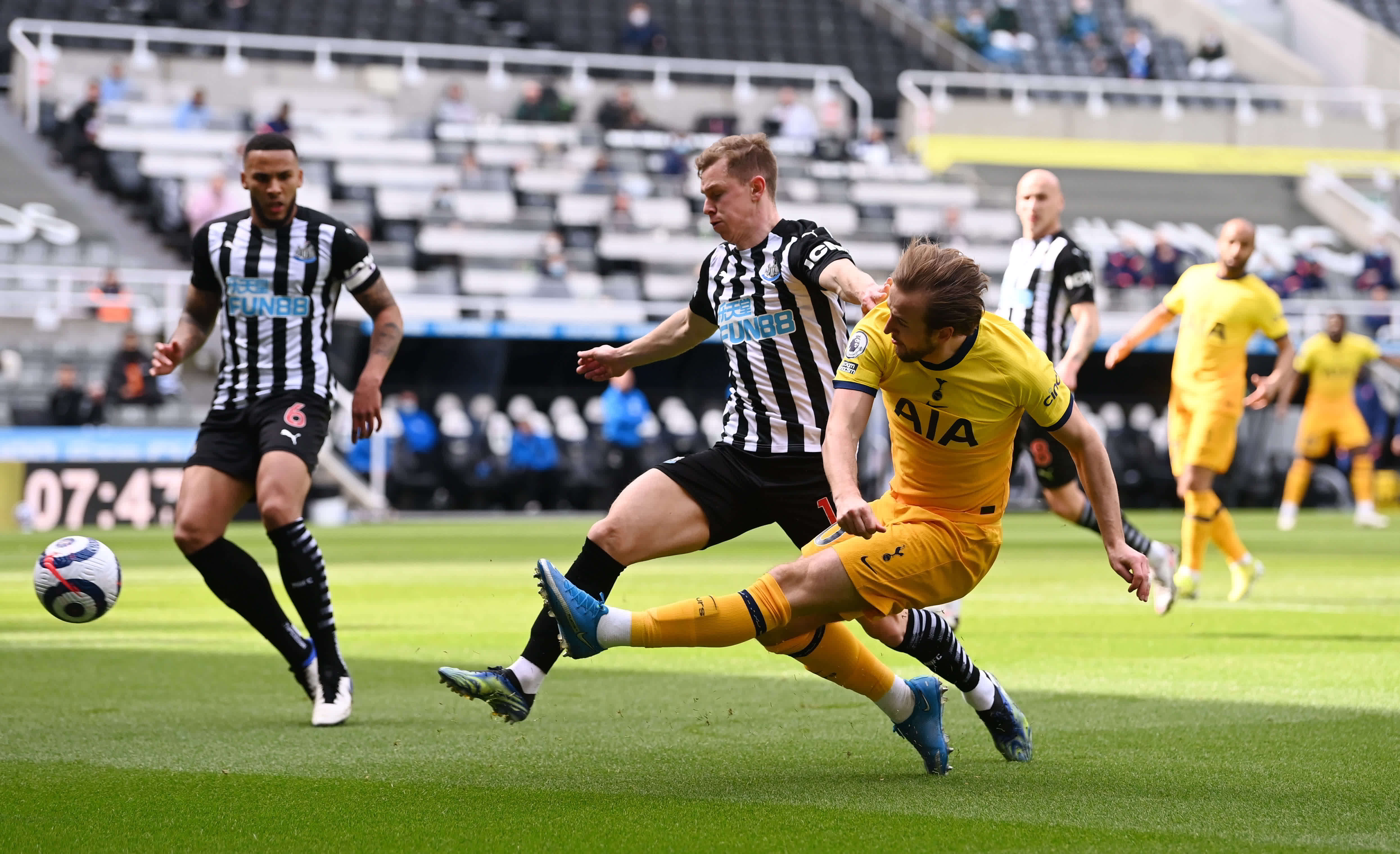 或牙买加的 或牙买加的