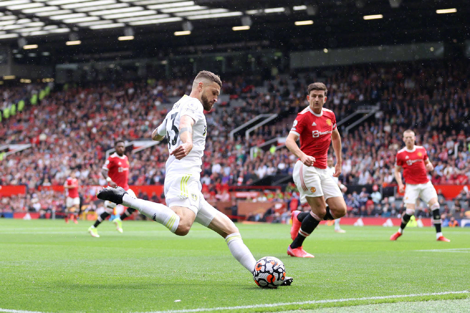 的坚定追随 的坚定追随